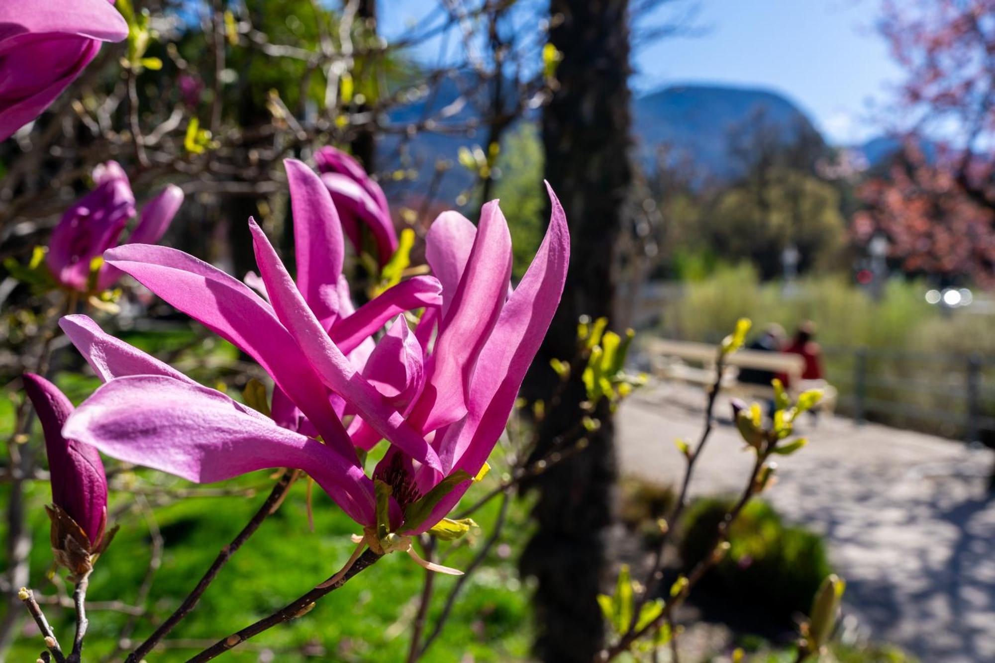 Ausblick Kleinjuwel Mit Panoramablick + Garage Apartman Merano Kültér fotó